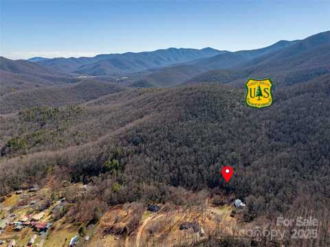 Landis Lane, Burnsville, NC 28714
