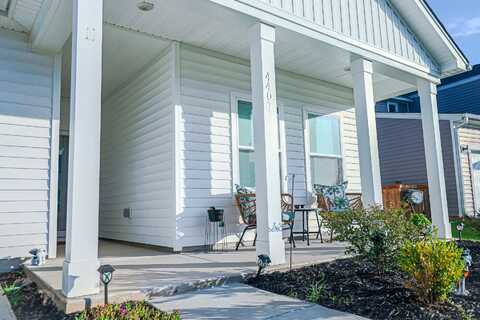 4407 Palm Shadow Drive, Summerville, SC 29485