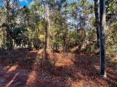 141st Ave, Old Town, FL 32680
