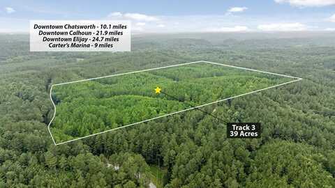 Tract 3 Conniston Road, CHATSWORTH, GA 30705