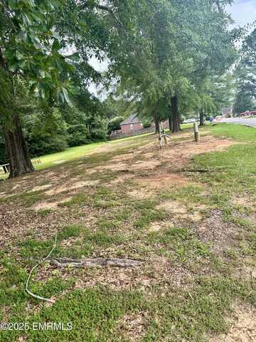 Ole Cobblestone Drive, Meridian, MS 39305