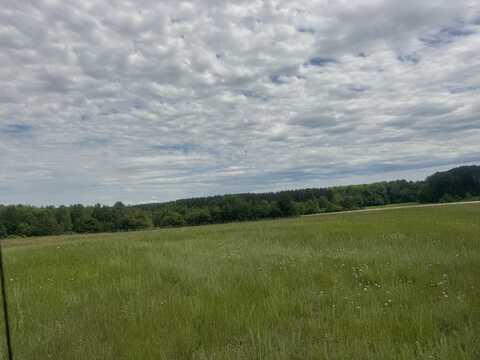 Co Rd 438, Mc Millan, MI 49853
