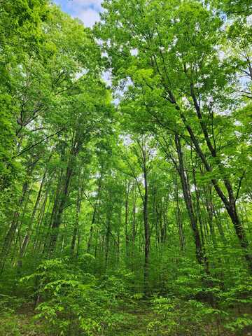 10 Acres Wildwood TRL, Mancelona, MI 49659