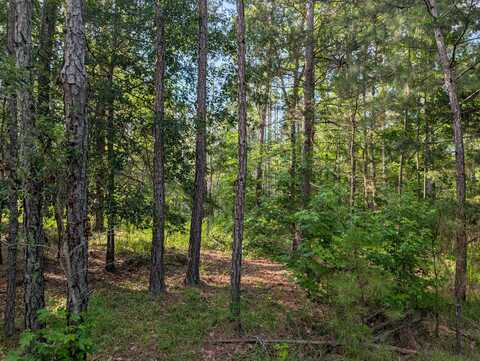Lot 1 Marshall Road, Appling, GA 30802