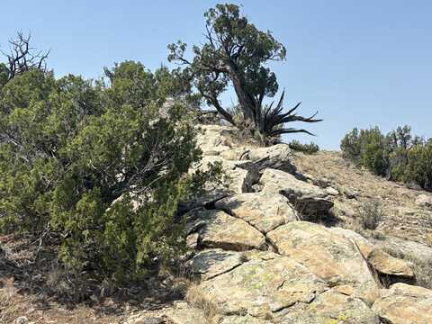 Lots 63&64 Abbe Springs Ranch, Magdalena, NM 87825