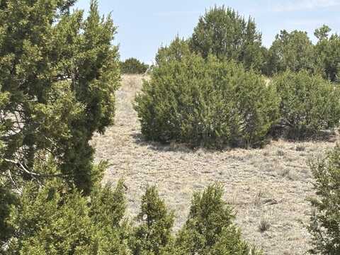 Lot 189 Pinon Springs Ranches, Magdalena, NM 87825