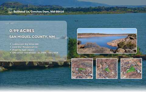 Bullhead Lane, Conchas Dam, NM 88416