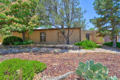 9004 NATALIE Avenue NE, Albuquerque, NM 87111