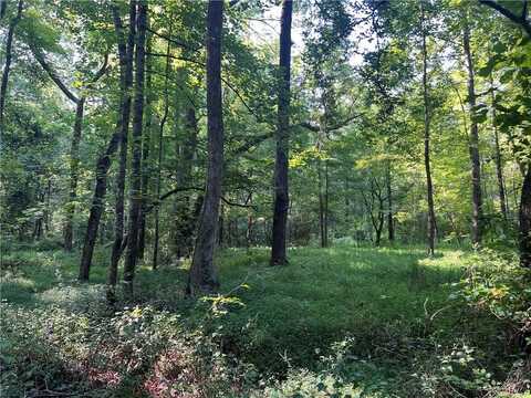 0 Mac Garner Road, Temple, GA 30179