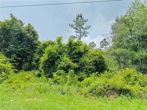 0 Leroy Stevens Road, Mobile, AL 36619