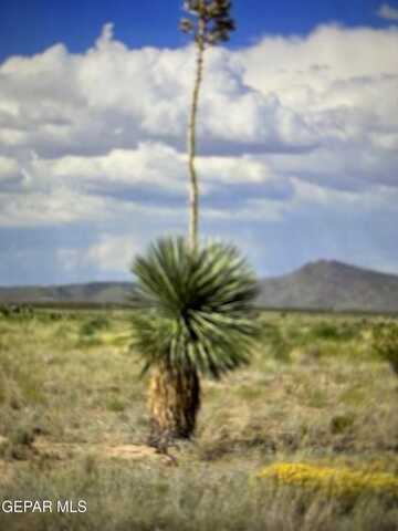 PN-75979 Bareback Trail, Sierra Blanca, TX 79851