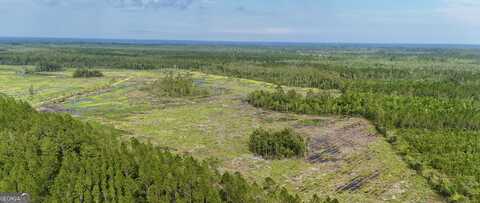 0 Off Dogwood, Waynesville, GA 31566