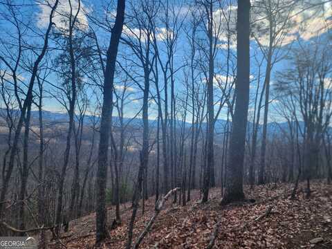 0 Trackrock Gap, Blairsville, GA 30514