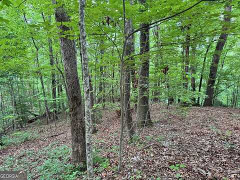 0 Black Bear Den, Clayton, GA 30525