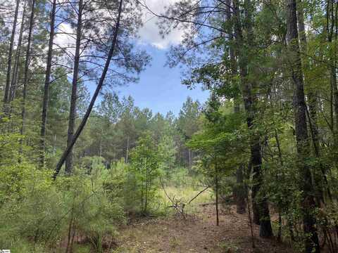 00 Indian Creek Drive, Clinton, SC 29325