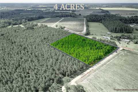 000 County Farm Road, Blackshear, GA 31516