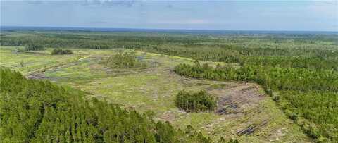 0 Off Dogwood Road, Waynesville, GA 31566
