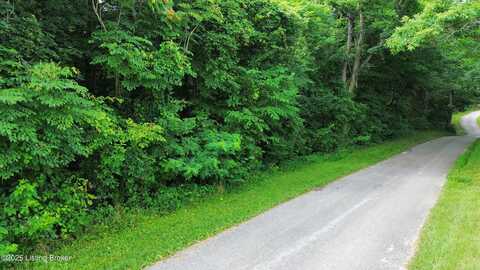 1429 Gossom Ln, Milton, KY 40045