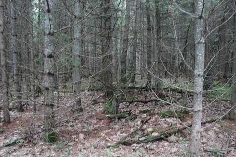 Lot 4 CTH J, Mercer, WI 54547