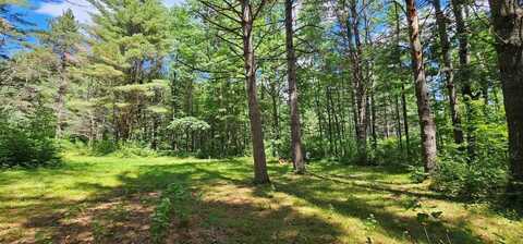 14223 POWELL RD, Manitowish Waters, WI 54545