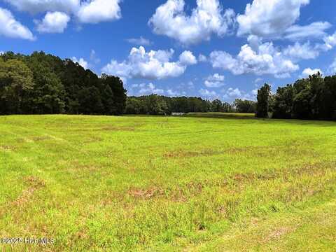 481 Nine Mile Road, Maple Hill, NC 28454
