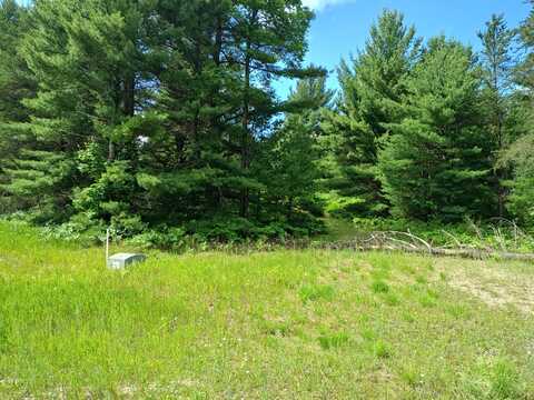 Lot #1 Red Hawk, Fife Lake, MI 49633