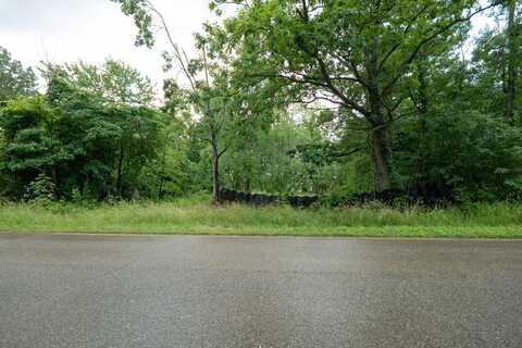 Finch Rd Road, Marcellus, MI 49067