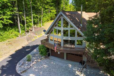 10653 Milarch Road, Bear Lake, MI 49614