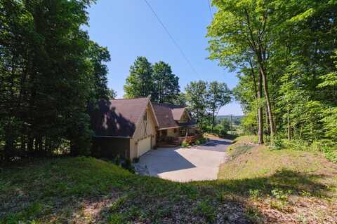 10653 Milarch Road, Bear Lake, MI 49614