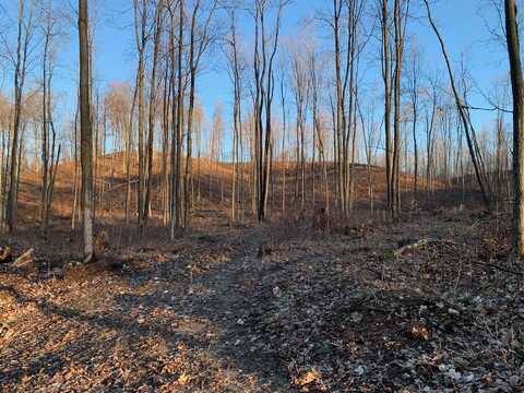 Chief ''O'' Road, Bear Lake, MI 49614