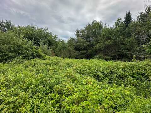 40 N Everett, Roscommon, MI 48653