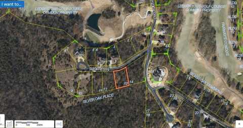 Lot 13 Silveroak Place, Branson West, MO 65737