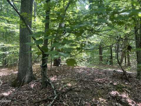 0 Sunny Court, Baneberry, TN 37890
