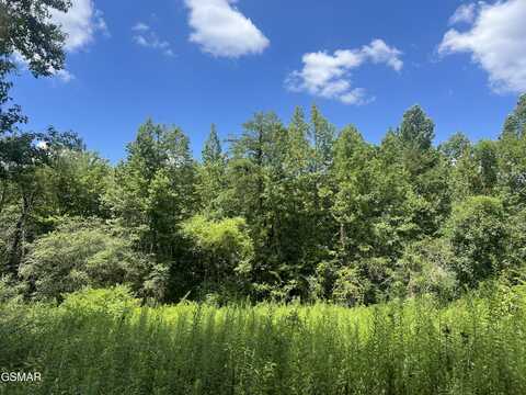 1148 Salem Valley Road, Ten Mile, TN 37880