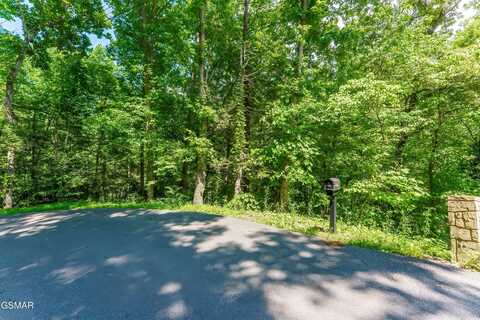 Lot 3a Maples Road, Gatlinburg, TN 37738