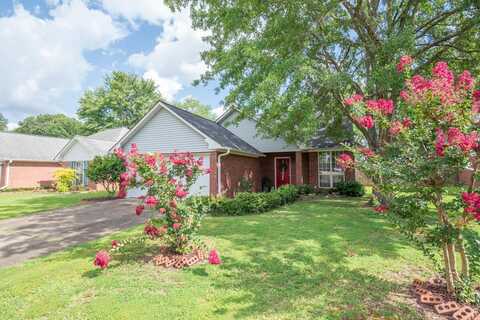 109a West Bound St, Starkville, MS 39759