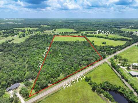 30 Acres FM 1255, Grand Saline, TX 75140