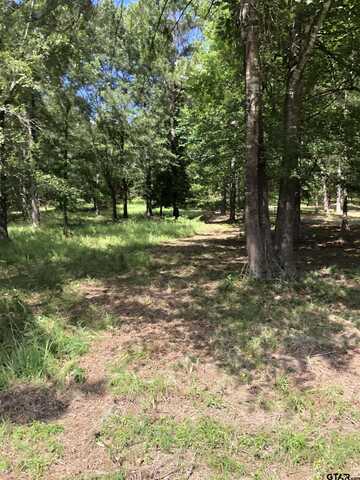 TBD PR 7223, Jefferson, TX 75657