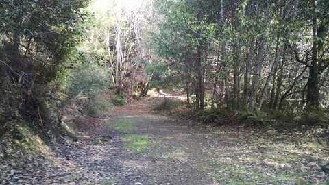 100 Moore Ranch Road, Weitchpec, CA 95546