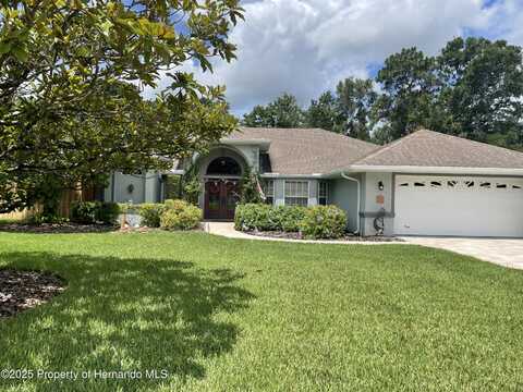 1231 Etta Avenue, Spring Hill, FL 34609