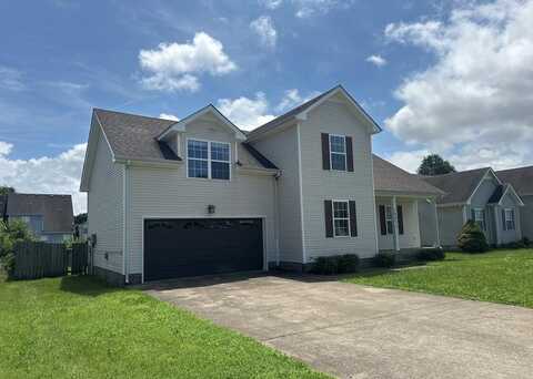 3685 S Naples Ct, CLARKSVILLE, TN 37040