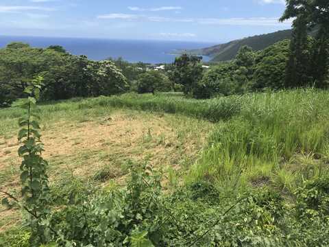 83-1025 KAHAULOA PLACE, Captain Cook, HI 96704