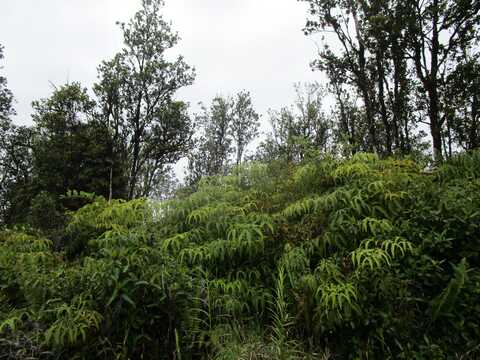 MALIA AINA RD, Volcano, HI 96785