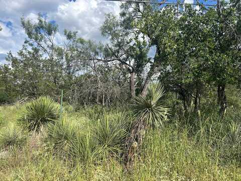 0 Sherwood Downs, Granite Shoals, TX 78654
