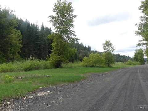 256 Beaver Lane, Pierce, ID 83546