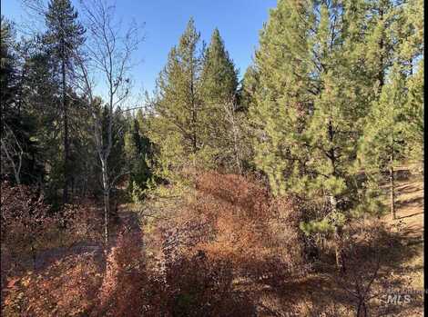 431 Wilhelm Creek Ct., McCall, ID 83638