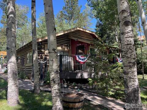 124 Ski Rd, Allenspark, CO 80510