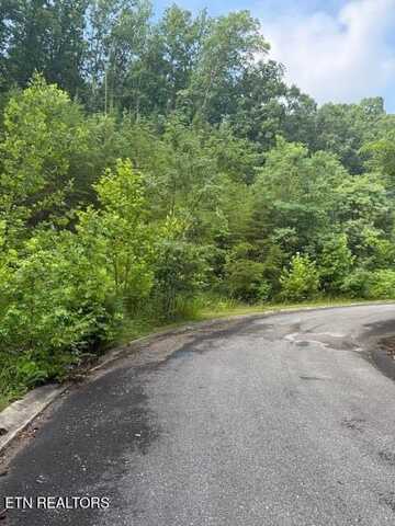 Lot 14 Woodland Creek Drive, Dandridge, TN 37725