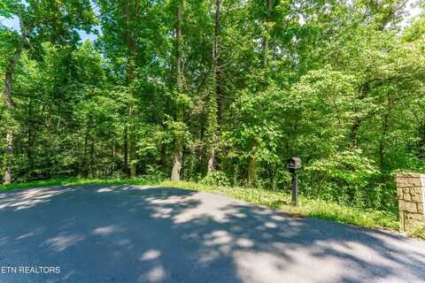 Maples Rd, Gatlinburg, TN 37738