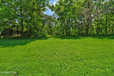 Mt Helen Rd, Allardt, TN 38504